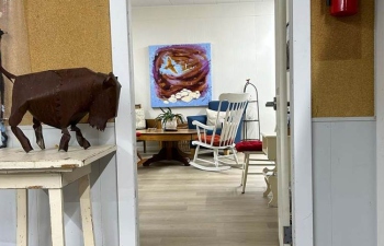 Bison Wallow Studio - Private area