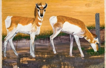 Crowning Glory by Diana Chabros  223.5 cm x 144.8 cm | Oil on Canvas | Available