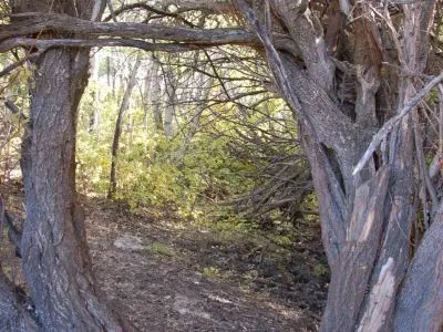 Stepping Through the Portal of Self Inquiry