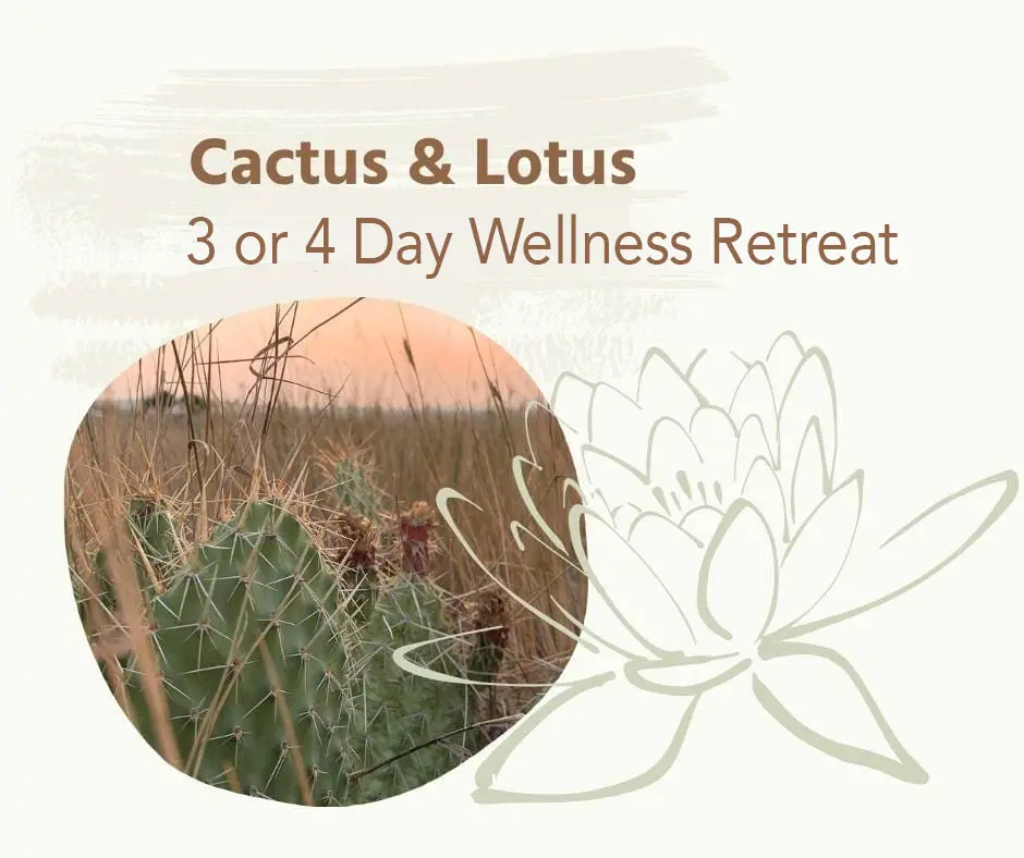 Sky Story Cactus & Lotus 3 or 4 Day Wellness Retreat
